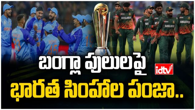 cricket
