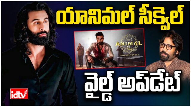 animal park animal park