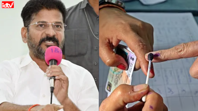 local body elections
