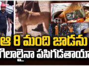 Rescue Efforts in SLBC Tunnel : SLBC లోకి కేరళ స్పెషల్ జాగిలాలు slbc
