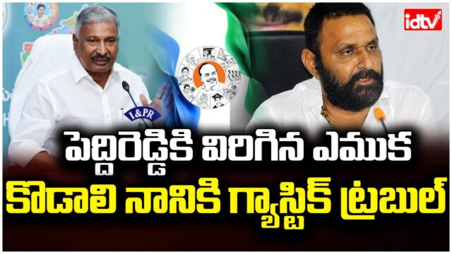 Peddi Reddy Ramachandra Reddy, Kodali Nani, YSRCP senior leaders, YSRCP news, Peddi Reddy health update, Kodali Nani health issues, Peddi Reddy accident, Kodali Nani gastric issue, YSRCP leaders health news
