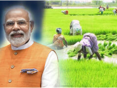 MSP Hike : ఖరీఫ్ పంటలకు భారీ ఊరట మద్దతు ధరలు పెంచిన కేంద్రం Central Government Hikes MSP for Kharif Crops