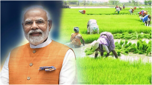 Central Government Hikes MSP for Kharif Crops